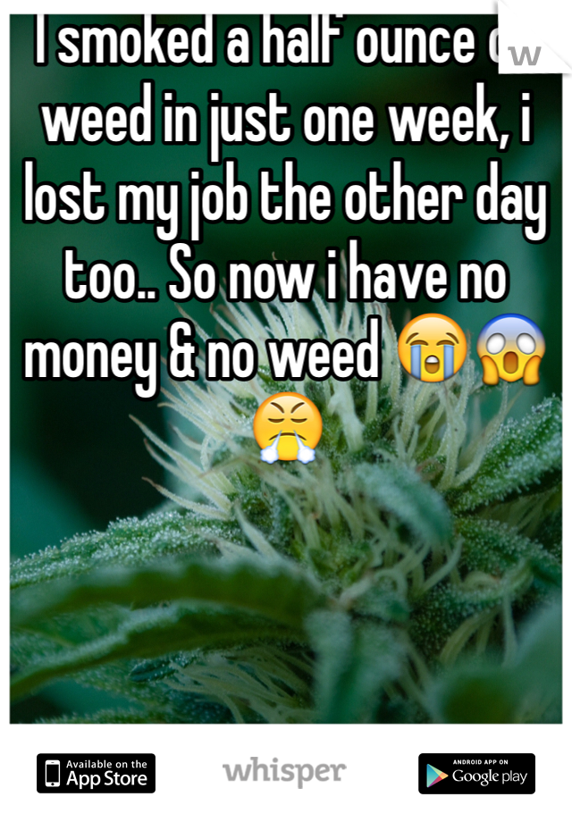 I smoked a half ounce of weed in just one week, i lost my job the other day too.. So now i have no money & no weed 😭😱😤