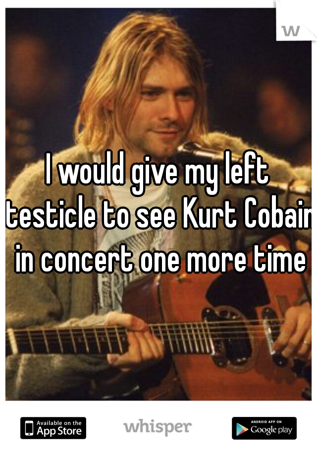 I would give my left testicle to see Kurt Cobain in concert one more time