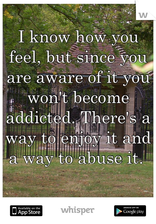 I know how you feel, but since you are aware of it you won't become addicted. There's a way to enjoy it and a way to abuse it. 