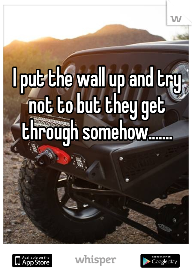 I put the wall up and try not to but they get through somehow.......