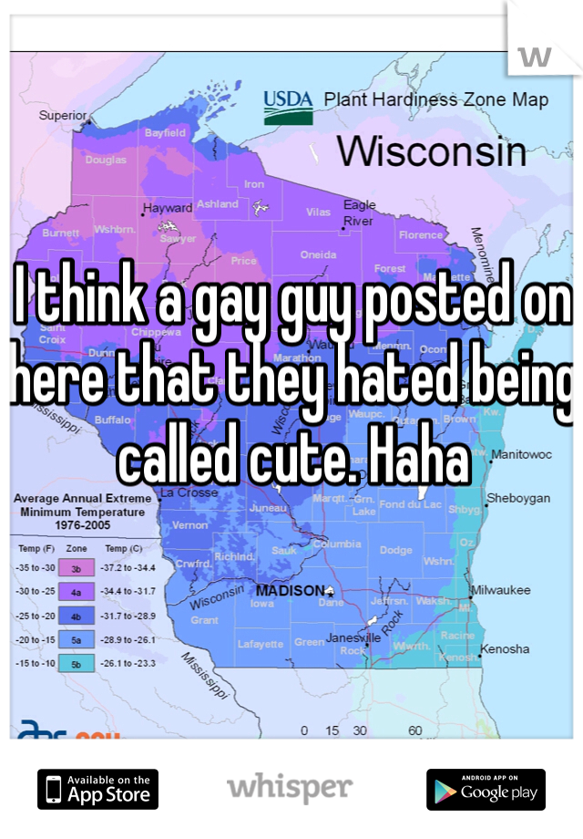 I think a gay guy posted on here that they hated being called cute. Haha