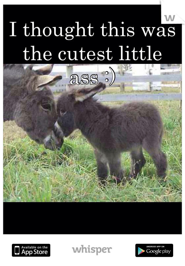 I thought this was the cutest little ass :)