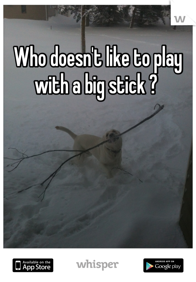 Who doesn't like to play with a big stick ? 