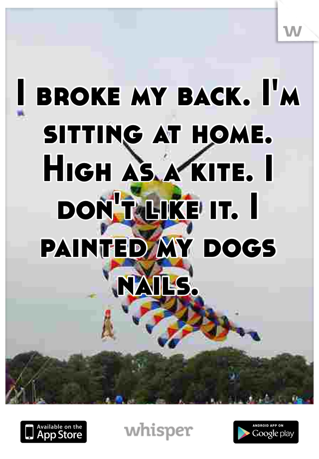 I broke my back. I'm sitting at home. High as a kite. I don't like it. I painted my dogs nails.
