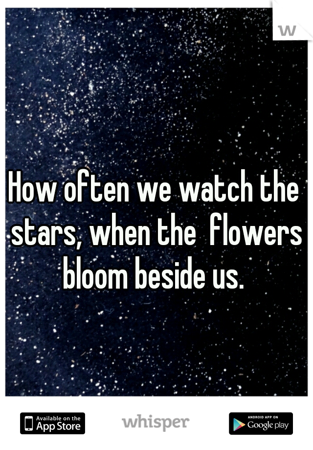 How often we watch the stars, when the  flowers bloom beside us. 