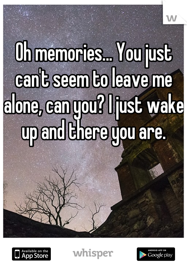 Oh memories... You just can't seem to leave me alone, can you? I just wake up and there you are.