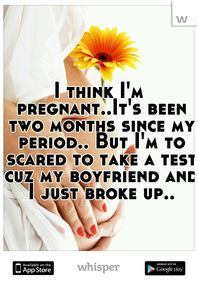 I think I'm pregnant..It's been two months since my period.. But I'm to scared to take a test cuz my boyfriend and I just broke up..