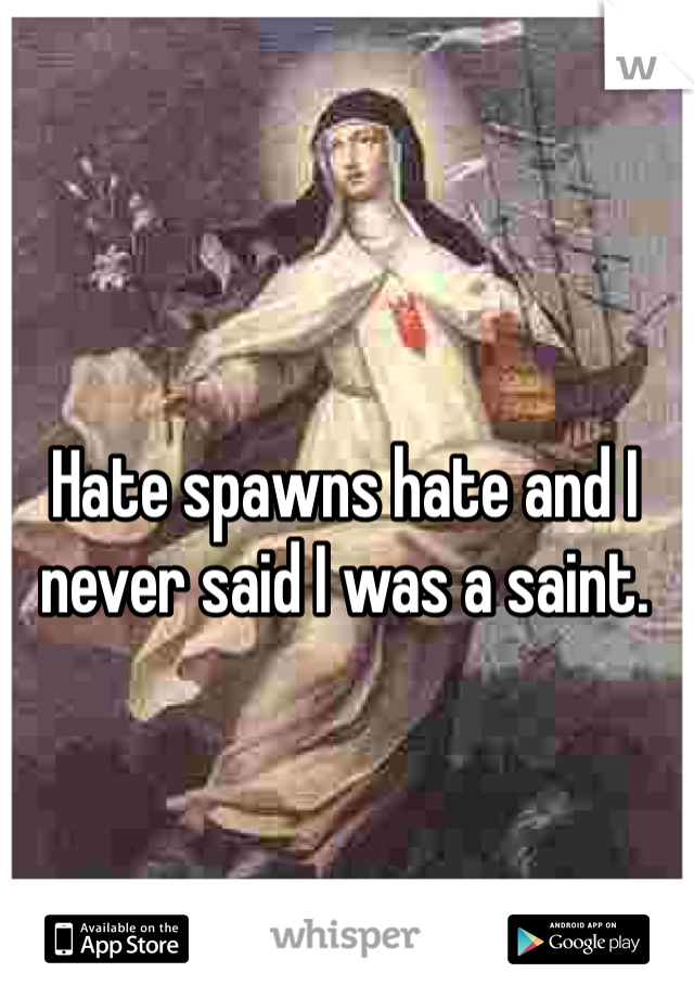 Hate spawns hate and I never said I was a saint. 
