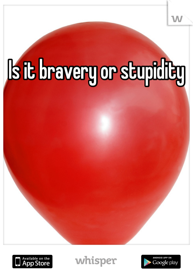 Is it bravery or stupidity