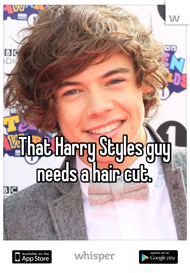 That Harry Styles guy needs a hair cut. 
