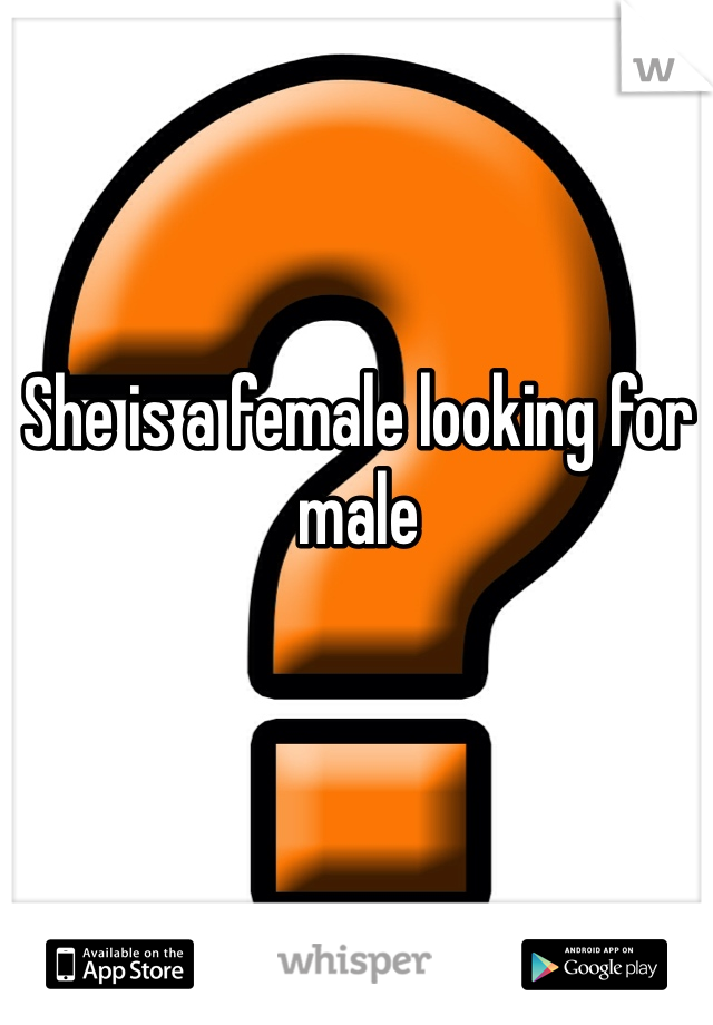 She is a female looking for male