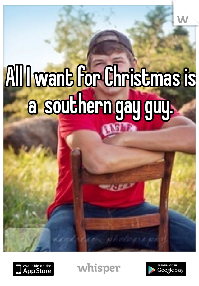 All I want for Christmas is a  southern gay guy. 