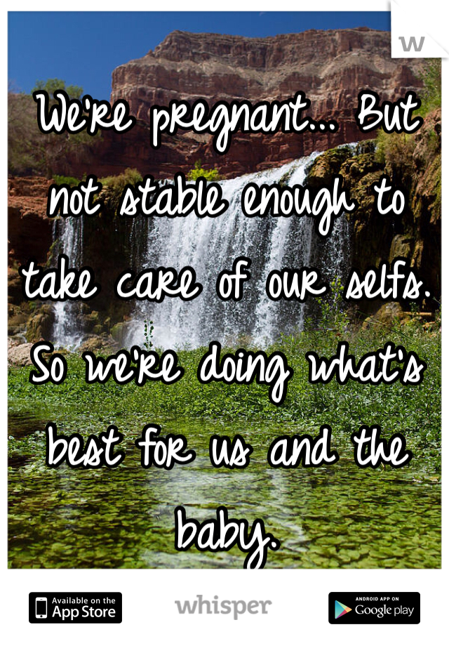 We're pregnant... But not stable enough to take care of our selfs. So we're doing what's best for us and the baby.