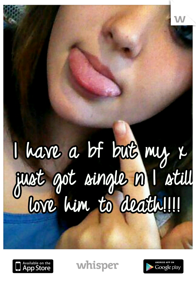 I have a bf but my x just got single n I still love him to death!!!!