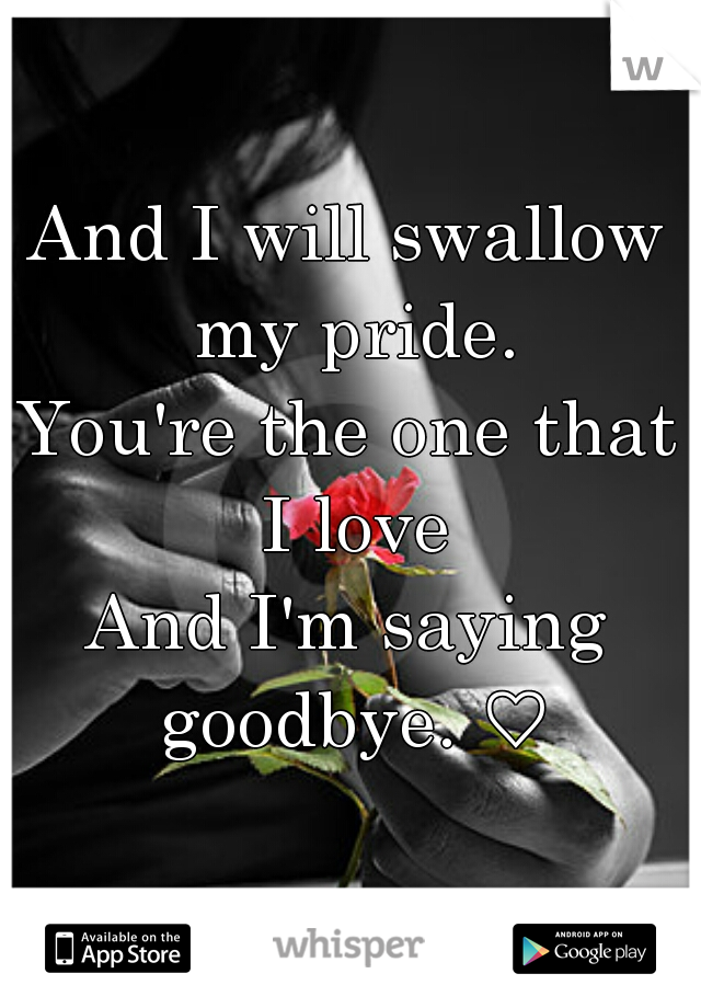 And I will swallow my pride.
You're the one that I love
And I'm saying goodbye. ♡
