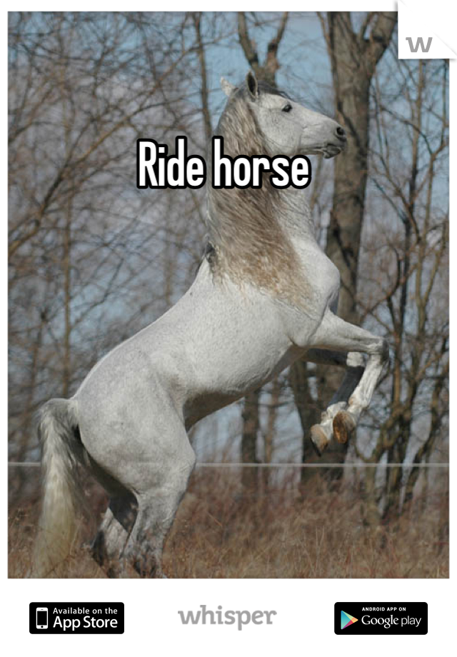 Ride horse 