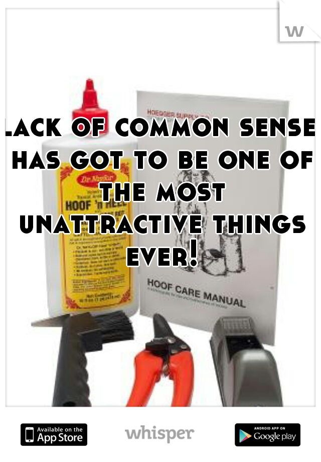 lack of common sense has got to be one of the most unattractive things ever!