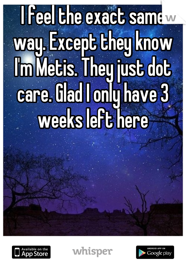 I feel the exact same way. Except they know I'm Metis. They just dot care. Glad I only have 3 weeks left here
