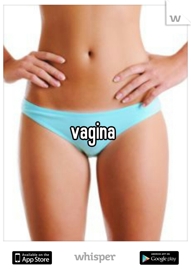 vagina 
