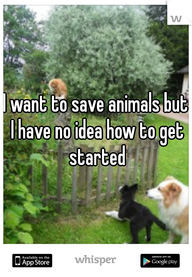 I want to save animals but I have no idea how to get started