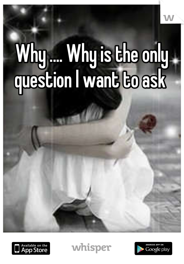 Why .... Why is the only question I want to ask 
