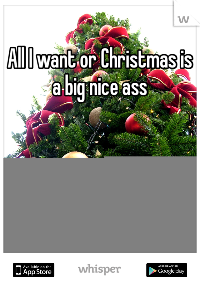 All I want or Christmas is a big nice ass