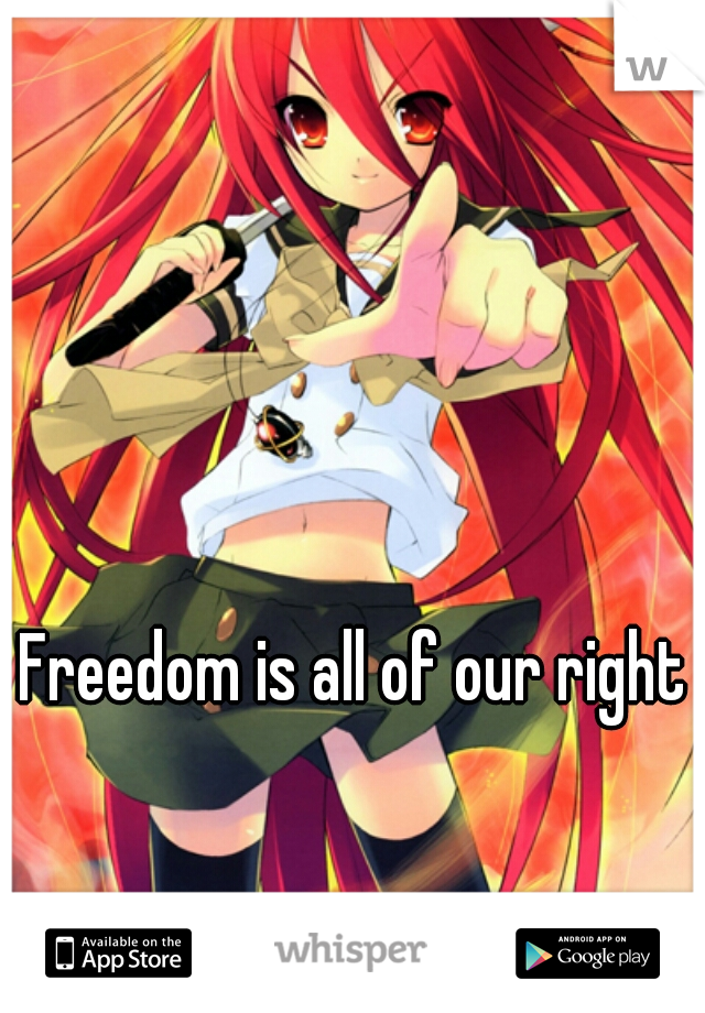Freedom is all of our rights