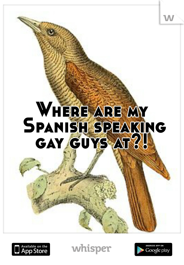 Where are my Spanish speaking gay guys at?! 