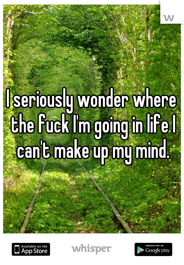 I seriously wonder where the fuck I'm going in life I can't make up my mind.
