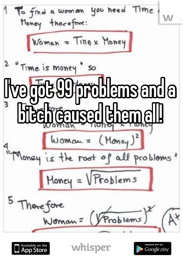 I've got 99 problems and a bitch caused them all!
