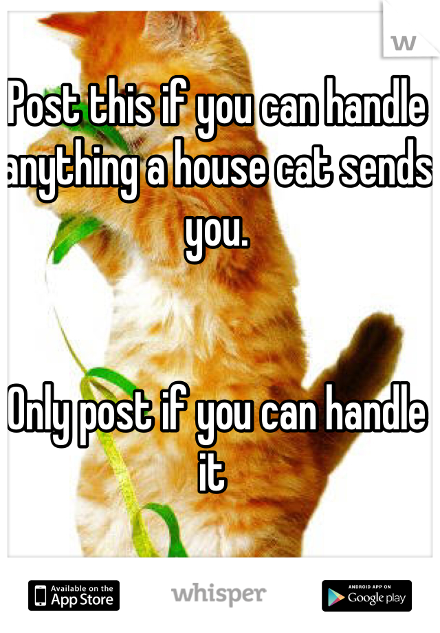 Post this if you can handle anything a house cat sends you. 


Only post if you can handle it 