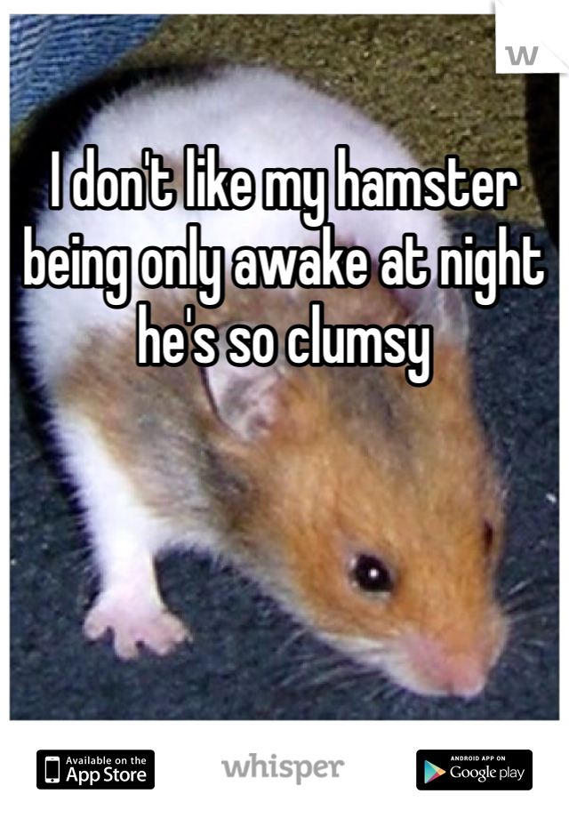 I don't like my hamster being only awake at night he's so clumsy 