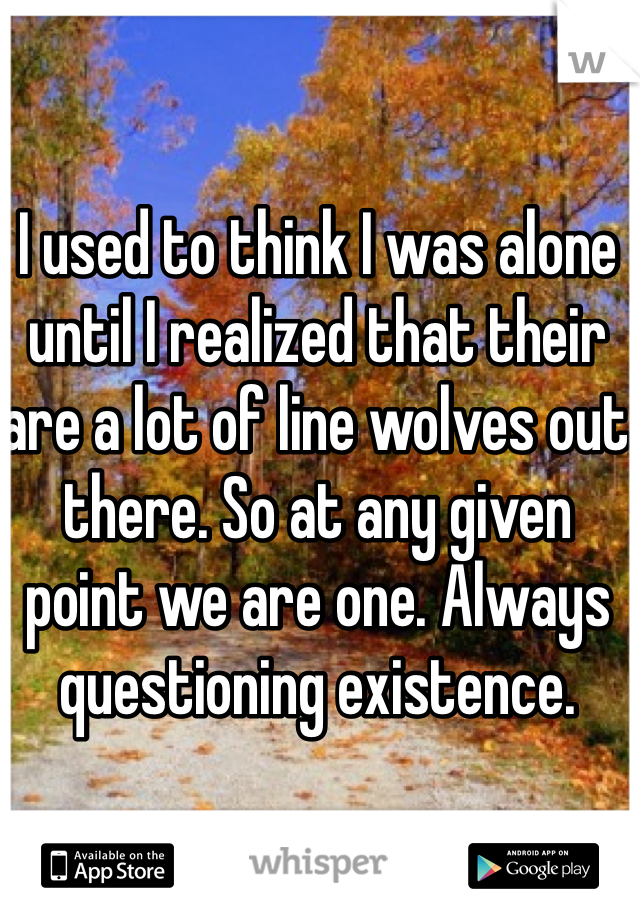 I used to think I was alone until I realized that their are a lot of line wolves out there. So at any given point we are one. Always questioning existence.