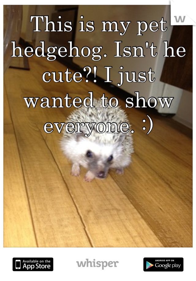 This is my pet hedgehog. Isn't he cute?! I just wanted to show everyone. :)