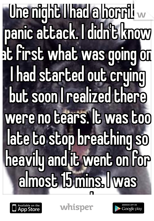 One night I had a horrible panic attack. I didn't know at first what was going on. I had started out crying but soon I realized there were no tears. It was too late to stop breathing so heavily and it went on for almost 15 mins. I was scared ..