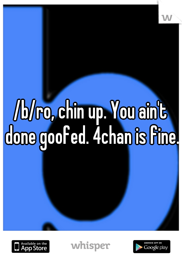 /b/ro, chin up. You ain't done goofed. 4chan is fine.