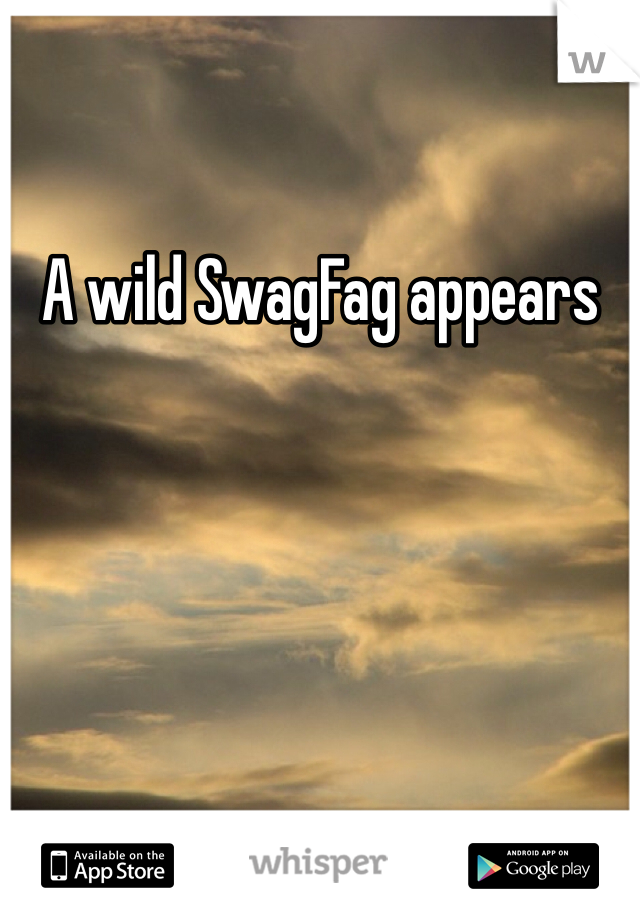 A wild SwagFag appears