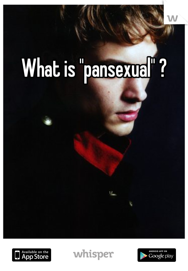 What is "pansexual" ?
