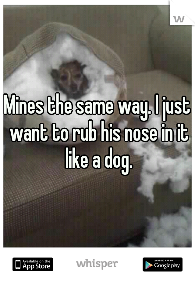 Mines the same way. I just want to rub his nose in it like a dog.