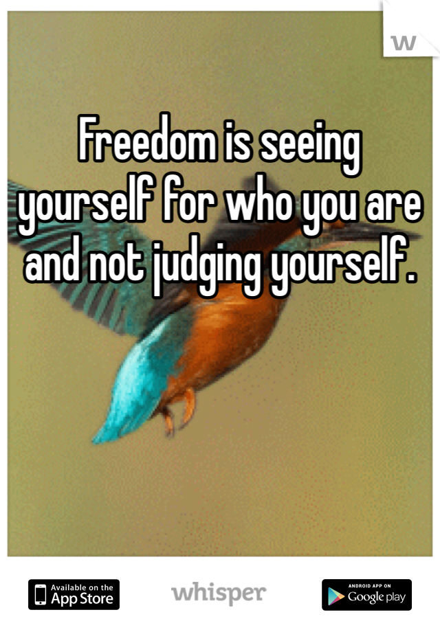 Freedom is seeing yourself for who you are and not judging yourself.
