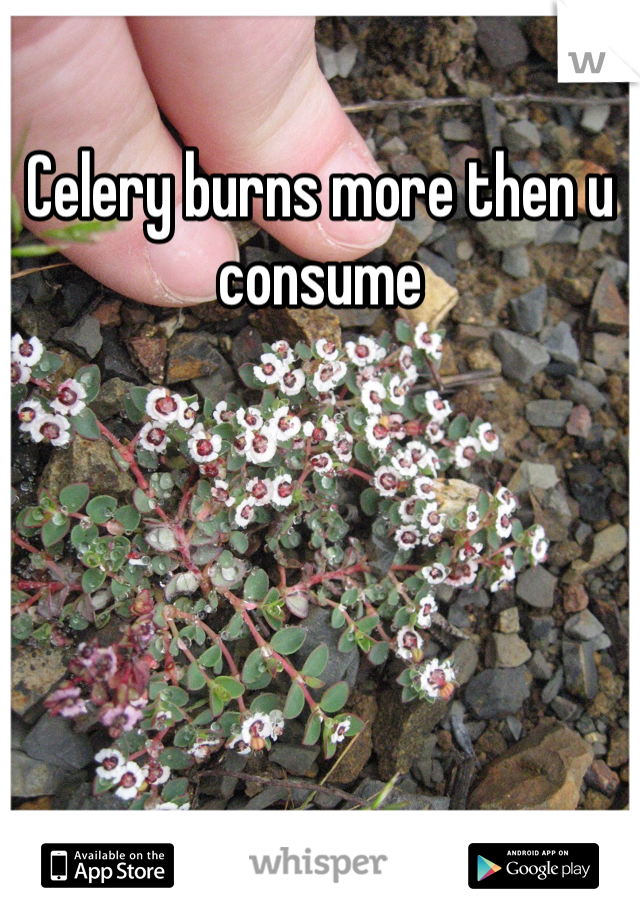 Celery burns more then u consume