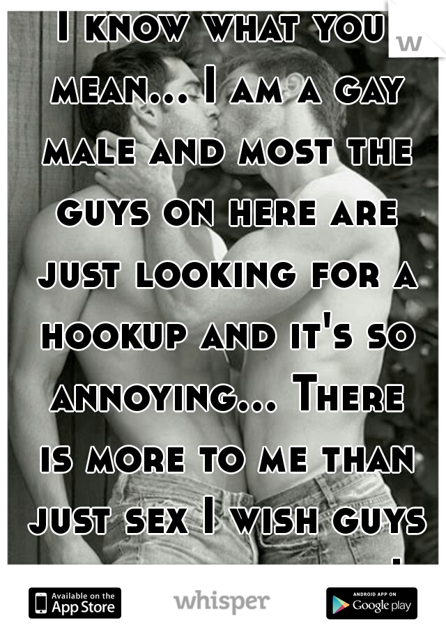 I know what you mean... I am a gay male and most the guys on here are just looking for a hookup and it's so annoying... There is more to me than just sex I wish guys would learn that! 