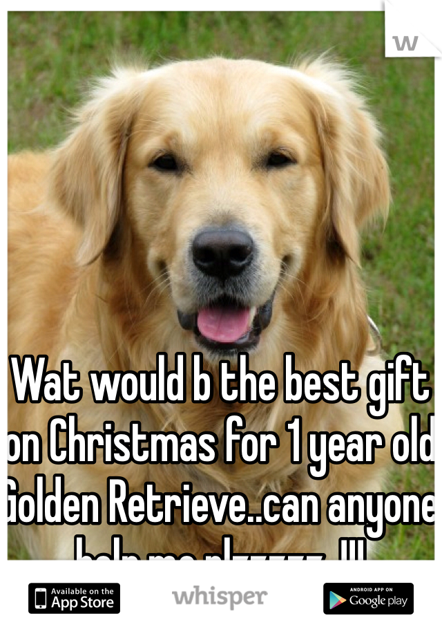Wat would b the best gift on Christmas for 1 year old Golden Retrieve..can anyone help me plzzzzz..!!!