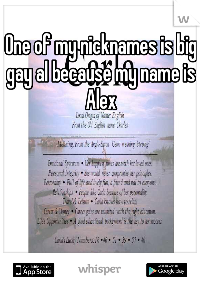 One of my nicknames is big gay al because my name is Alex