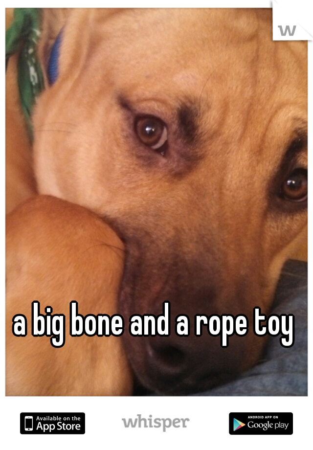 a big bone and a rope toy