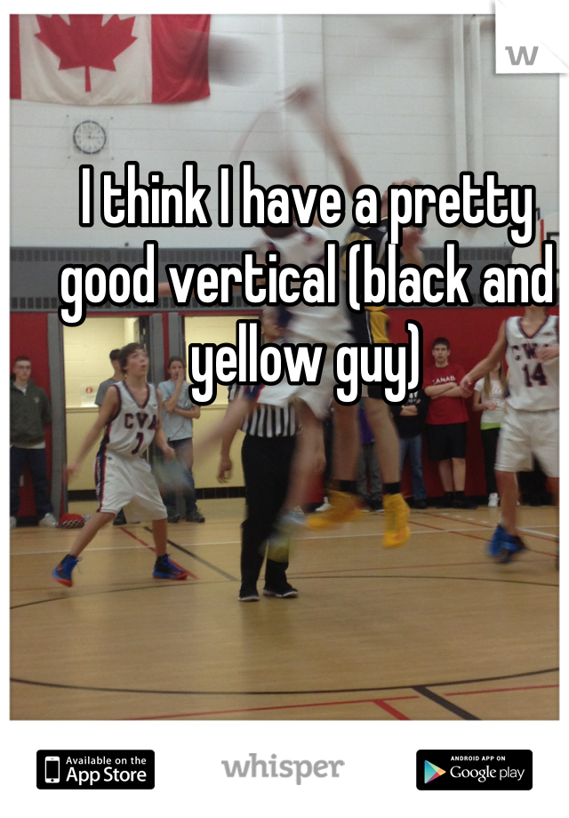 I think I have a pretty good vertical (black and yellow guy)