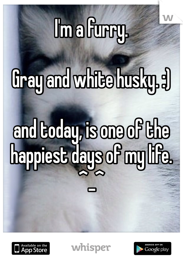 I'm a furry.

Gray and white husky. :)

and today, is one of the happiest days of my life. ^_^