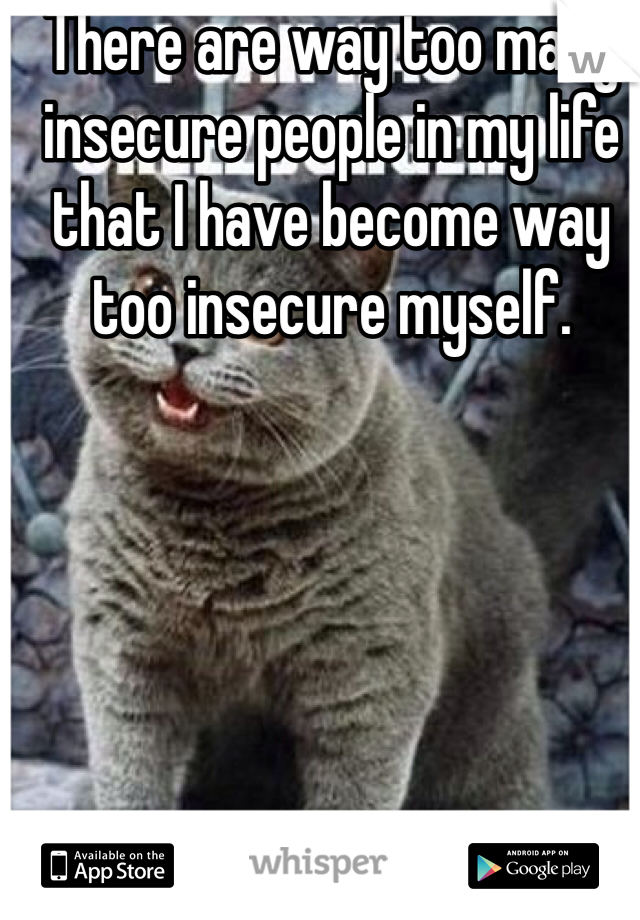 There are way too many insecure people in my life that I have become way too insecure myself.