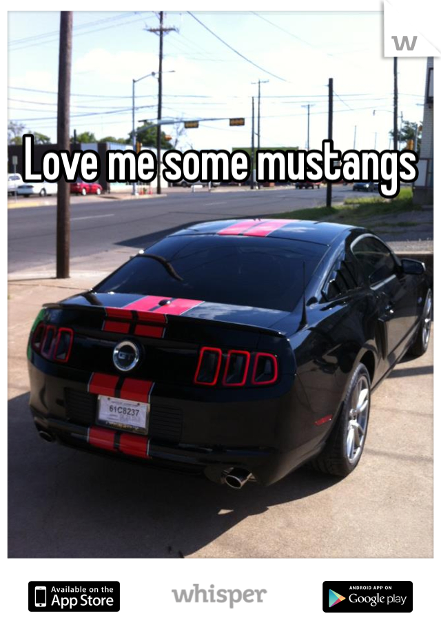 Love me some mustangs