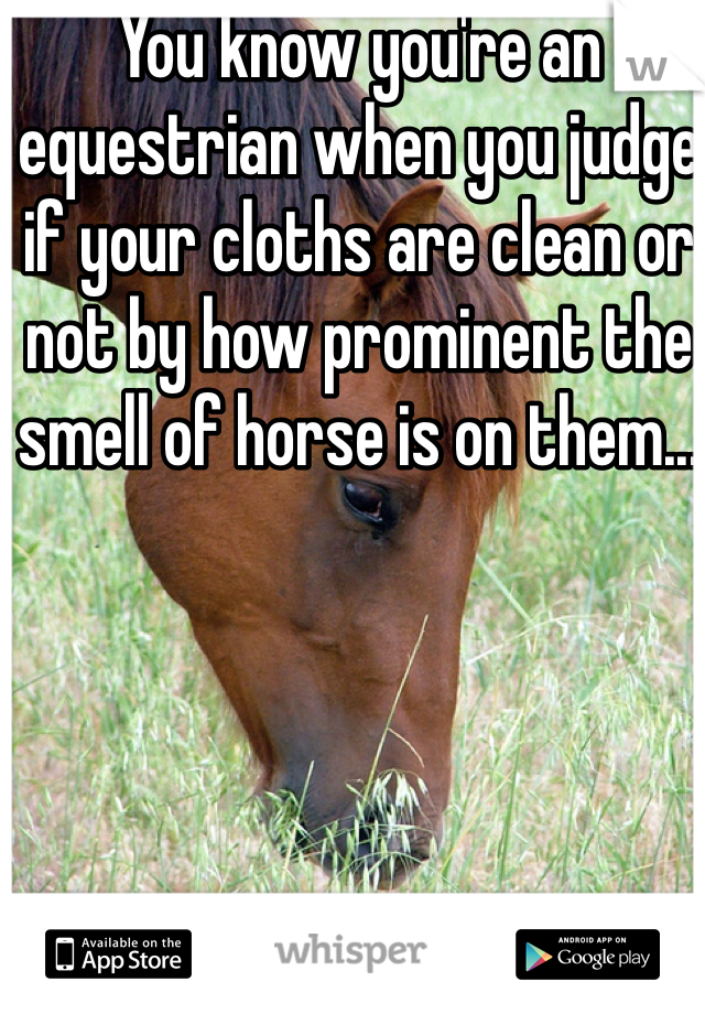 You know you're an equestrian when you judge if your cloths are clean or not by how prominent the smell of horse is on them...
